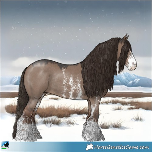 Horse Color:Liver Red Dun Sabino Rabicano 