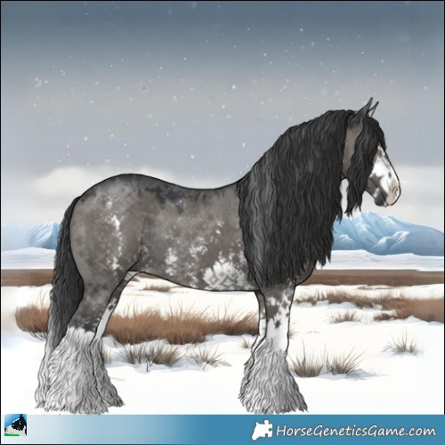 Horse Color:Grullo Sabino Splash Rabicano 