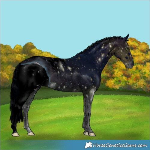 Horse Color:ERROR: UNKNOWN ANOMALY