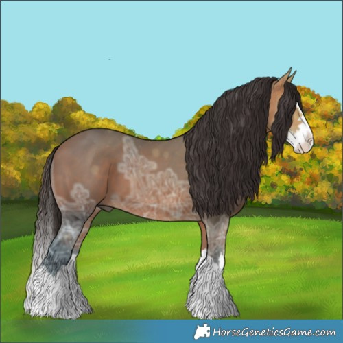 Horse Color:Bay Ice Splash 