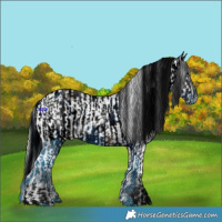 Horse Color:Silver Buckskin Ice Dun Tobiano Appaloosa  and ERROR: UNKNOWN ANOMALY