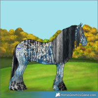 Horse Color:Silver Buckskin Ice Dun Tobiano Appaloosa  and ERROR: UNKNOWN ANOMALY