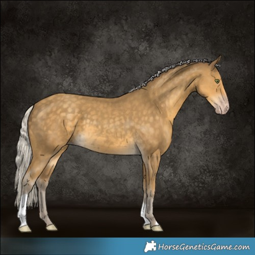 Horse Color:Silver Classic Cream Champagne 