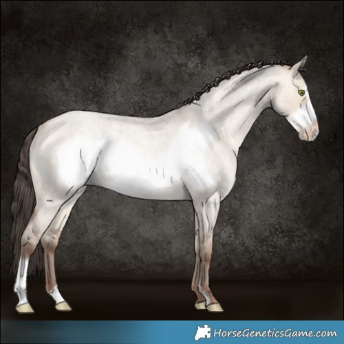 Horse Color:Sable Champagne Roan Dun Frame Rabicano 