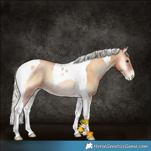 Horse Color:Silver Bay Pearl Onyx Tobiano 