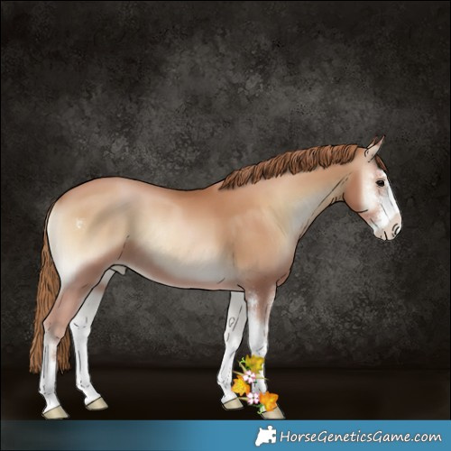 Horse Color:Blue Onyx Pearl Sabino 