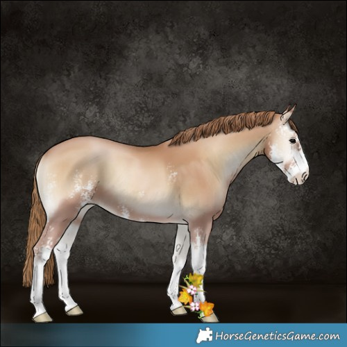 Horse Color:Blue Onyx Pearl Sabino 