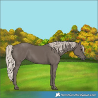 Horse Color:Silver Black 