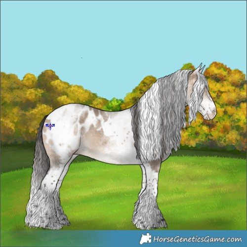 Horse Color:White Spotted Brown Dun Tobiano Blanket Rabicano 