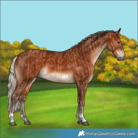 Horse Color:Chestnut  and Silver Brown 