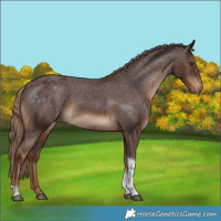 Horse Color:Liver Chestnut Tobiano Varnish 