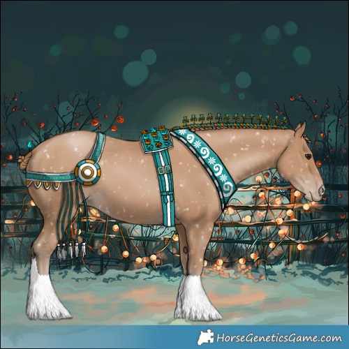 Horse Color:Black Pearl Appaloosa