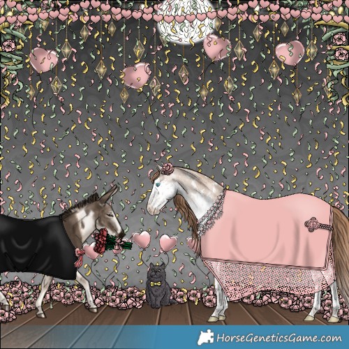 Horse Color:White Spotted Grullo Pearl Sabino Splash Rabicano 
