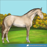 Horse Color:Smoky Grullo Pearl 