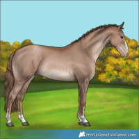 Horse Color:Black Pearl 