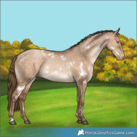 Horse Color:White Spotted Brown Pearl Dun 