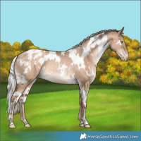 Horse Color:White Spotted Silver Brown Pearl Dun Snowflake Varnish 
