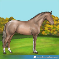 Horse Color:Liver Chestnut Pearl Mushroom Tobiano Rabicano 