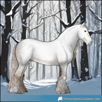 Horse Color:Gray Chocolate Palomino Tobiano Rabicano 