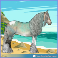 Horse Color:Gray Silver Bay Dun Tobiano Appaloosa Brindle 