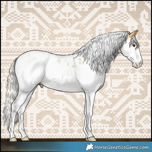 Horse Color:Silver Buckskin Sabino Splash Tobiano Appaloosa 