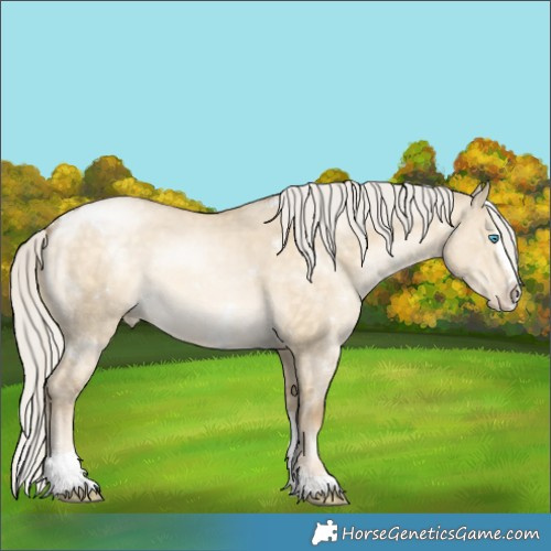 Horse Color:White Spotted Chocolate Silver Buckskin Pearl Dun Splash Tobiano 