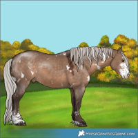 Horse Color:White Spotted Silver Brown Dun Sabino 