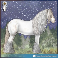 Horse Color:White Spotted Gold Champagne Dun Tobiano Appaloosa  and Chocolate Palomino Roan Dun Tobiano Frame Appaloosa 
