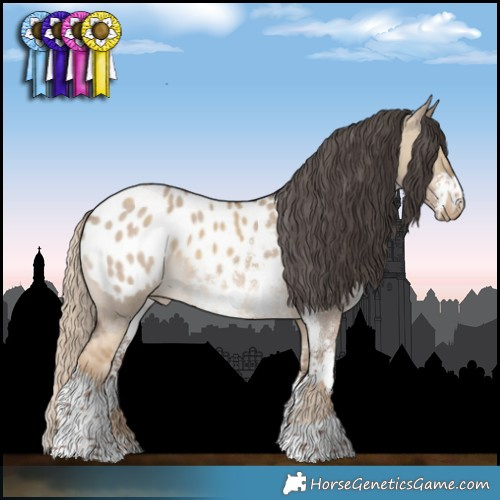 Horse Color:Chocolate Palomino Dun Appaloosa Rabicano  and Liver Red Dun Sabino Appaloosa Rabicano 