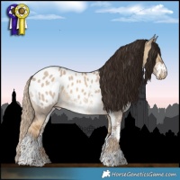 Horse Color:Chocolate Palomino Dun Appaloosa Rabicano  and Liver Red Dun Sabino Appaloosa Rabicano 