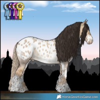 Horse Color:Chocolate Palomino Dun Appaloosa Rabicano  and Liver Red Dun Sabino Appaloosa Rabicano 