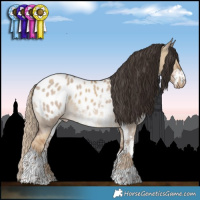 Horse Color:Chocolate Palomino Dun Appaloosa Rabicano and Liver Red Dun Sabino Appaloosa Rabicano