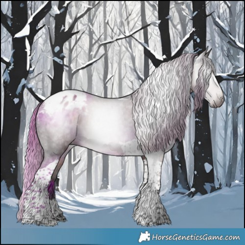 Horse Color:Gray Liver Chestnut Tobiano Appaloosa 