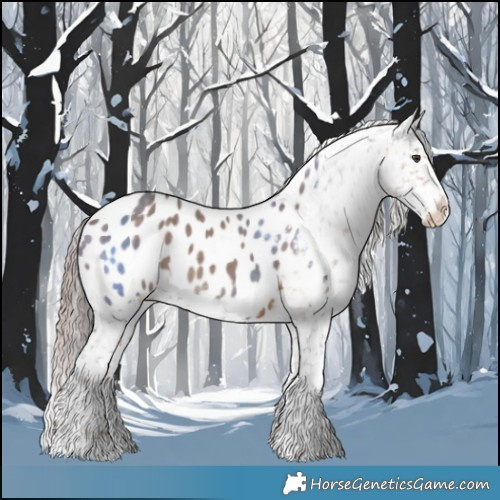 Horse Color:Liver Red Dun Appaloosa Brindle 