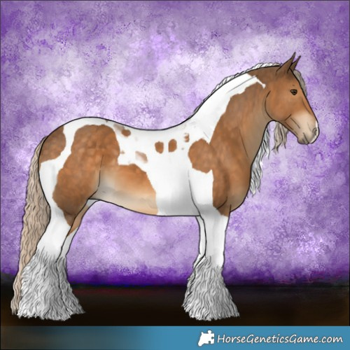 Horse Color:Chocolate Palomino Tobiano 