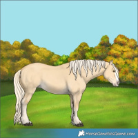 Horse Color:Palomino Dun Splash 
