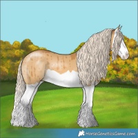 Horse Color:Palomino Dun Splash Brindle 