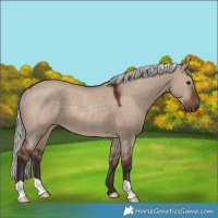 Horse Color:Liver Red Dun Mushroom Rabicano 