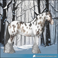 Horse Color:Blue Onyx Tobiano Near Leopard