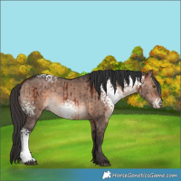 Horse Color:White Spotted Brown Dun Mushroom Brindle 