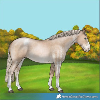 Horse Color:Chocolate Palomino Pearl Mushroom Sabino Varnish