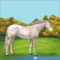 Horse Color:Chocolate Palomino Pearl Dun Mushroom Sabino Appaloosa Rabicano 