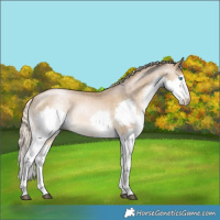 Horse Color:Chocolate Palomino Pearl Mushroom Splash 
