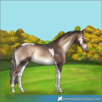 Horse Color:Liver Red Onyx Mushroom Tobiano