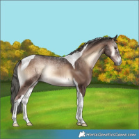 Horse Color:Liver Red Onyx Mushroom Tobiano 