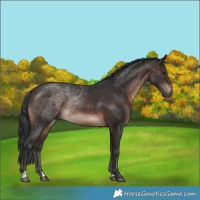 Horse Color:Brown Mushroom Rabicano 