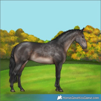 Horse Color:Brown Mushroom Rabicano