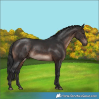 Horse Color:Brown Mushroom Rabicano 