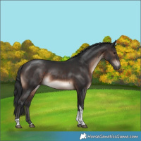 Horse Color:Brown Mushroom Tobiano Rabicano 