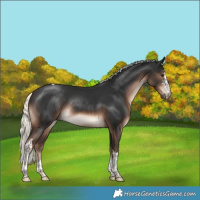 Horse Color:Liver Chestnut Mushroom Sabino Tobiano Rabicano 